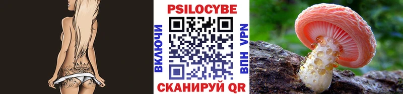 Псилоцибиновые грибы прущие грибы  как найти наркотики  мега сайт  Заозёрск 